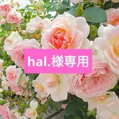 hal.様専用出品