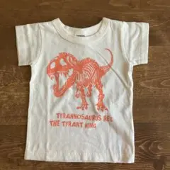 Item thumbnail for item ec7223d3-2f1f-466a-9015-b835ecaef7e5