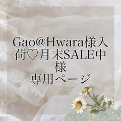 Gao@Hwara様入荷♡月末SALE中様 リクエスト 3点 まとめ商品