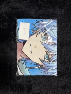 めておら Lapis らぴす ピクチャータオル
