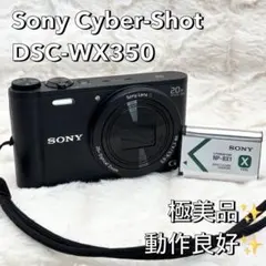 2026年最新】SONY DSC WX350の人気アイテム - メルカリ