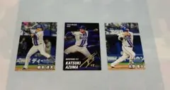 プロ野球チップス　カード　横浜DeNAベイスターズ