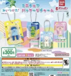 みいつけた！ ミニチュアパッケージチャーム ガチャオフロスキー