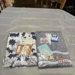 Item thumbnail for item c63457e5-d607-44d4-af6f-822a16ae7cc3