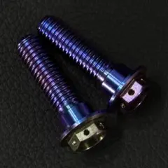 64チタン M8×30mm 2本 ブレーキ ディスク ボルト ゼファ m1477 - メルカリ