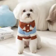 犬用ポロシャツ 青と茶色のストライプ