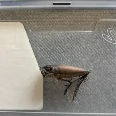 Item thumbnail for item 859b50b7-7286-4fff-9e50-3397c34ca89b