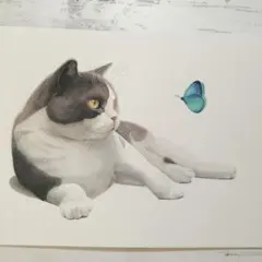 水彩画　手描き　原画　猫　蝶