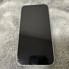Apple iPhone 12本体