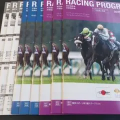 11/22.23.24 JRA レーシングプログラム 303