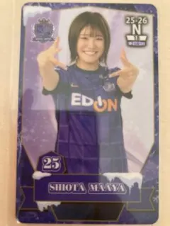 Item thumbnail for item 5ce209bc-d5a7-4549-9145-5f5df2067411