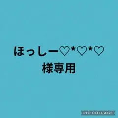 ほっしー♡*♡*♡様専用　ジョリーフルール　刺繍生地