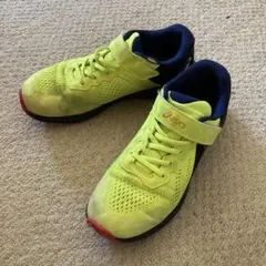 Item thumbnail for item 3a2d301c-bbdd-4529-bc87-fb218d52a628