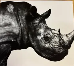 Mr.Children ベストアルバム - メルカリ