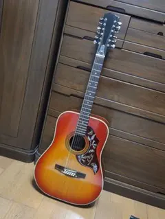 牛骨☆エレアコ】Epiphone☆ハミングバード！【弾き易く調整☆新品の弦