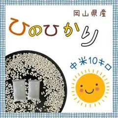 残り僅か】はぜ掛け天日干し あさひの夢 白米10kg 農薬不使用 長野県産