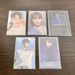 SEVENTEEN CARATLAND セブチ ケレン 封入 特典トレカ ディノ