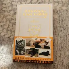 Item thumbnail for item 9cc66fb6-b56d-4fa6-81cd-f5512547562f