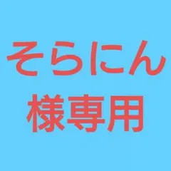 (そらにん様専用！)おまとめ購入5点！