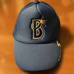 Item thumbnail for item 775c859b-138d-4256-bd52-d817b25c0f33