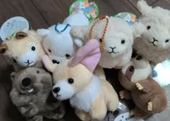 動物ぬいぐるみセット ストラップ付き