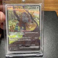 ガチグマ アカツキex SAR スカーレット&バイオレット 強化拡張パック