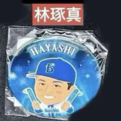 Item thumbnail for item a7955d70-6ffa-4e1c-96f1-2562e51b7c5f