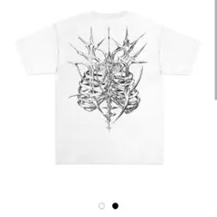 Item thumbnail for item ac8f53fa-aa4f-49a3-9526-65cb0f888187