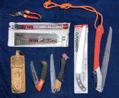 Item thumbnail for item fa3061c5-e639-41d2-b4e2-072474d41451