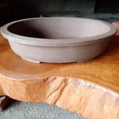 ⑦盆栽鉢 常滑焼 植木鉢 中浅楕円形 27cm 陶器 盆栽 山野草