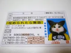 2025年最新】なめ猫 免許証 ゴールドの人気アイテム - メルカリ