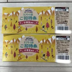 スキージャム勝山　リフト1日招待券　小学生限定　２枚