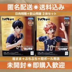 ハイキュー!! ハイプレミアムフィギュア 影山飛雄 日向翔陽 2体セット
