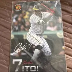 阪神タイガース 糸井嘉男 下敷き