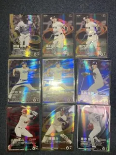 プロ野球ファンスターズリーグ プロモーションパック vol.1 SRセット
