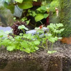 まさむね〜様 リクエスト 3点 まとめ商品