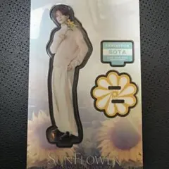 中島颯太　アクリルスタンド　アクスタ　SUNFLOWER　実写