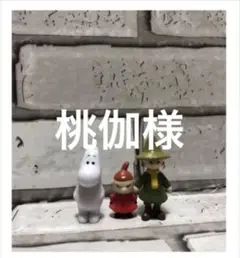 桃伽様確認ページ☆