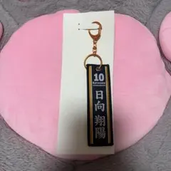 ハイキュー!! 日向翔陽 フライトタグ　タイトーくじ　G賞