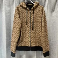 Item thumbnail for item 51f0c17f-16a3-4782-9a78-696e0930fb75