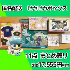 ピカピカボックス2026 11点まとめ売り ポケモンセンター 福袋