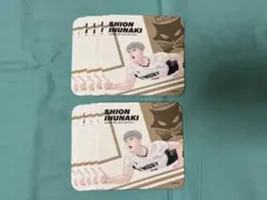 ハイキュー　Vリーグ　アトコ　アートコースター　犬鳴シオン