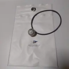 Louis Vuitton チャーム ストラップ 方位磁石 未使用 収納⭐️希少