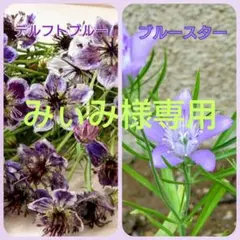 みぃみ様 リクエスト 3点 まとめ商品