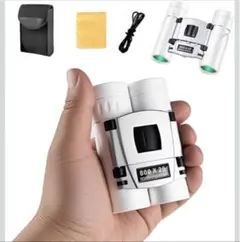 Item thumbnail for item a2b42801-548f-4968-876b-d7d70235ef34