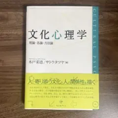 文化心理学　理論・各論・方法論