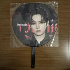 straykids リノ うちわ dominate