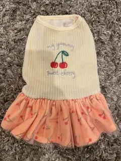 Item thumbnail for item d08e3fb7-e909-42f5-b6c5-f7d4b2bbf7f1