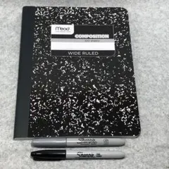 Item thumbnail for item 488ff6fd-4a3d-451e-920b-dfb61f8cde21