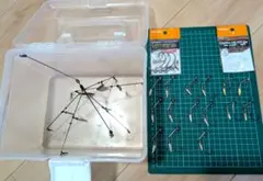 Item thumbnail for item a8867f44-5d8e-4ebc-8218-cd5f90b7c074